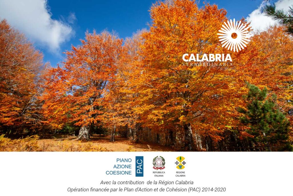 Découvrez la Calabre en automne : un voyage sur mesure entre sport et culture pour les touristes suisses